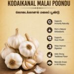 Kodaikanal Malai Poondu – 1KG